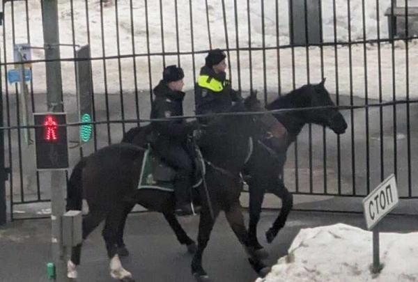 Территорию в Марьино патрулирует конная полиция
